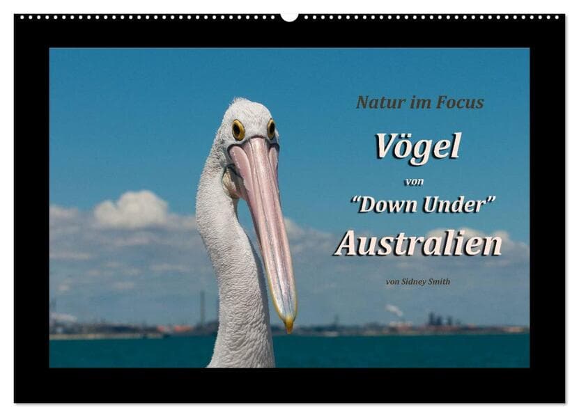Vögel von "Down Under" Australien (Wandkalender 2026 DIN A2 quer), CALVENDO Monatskalender