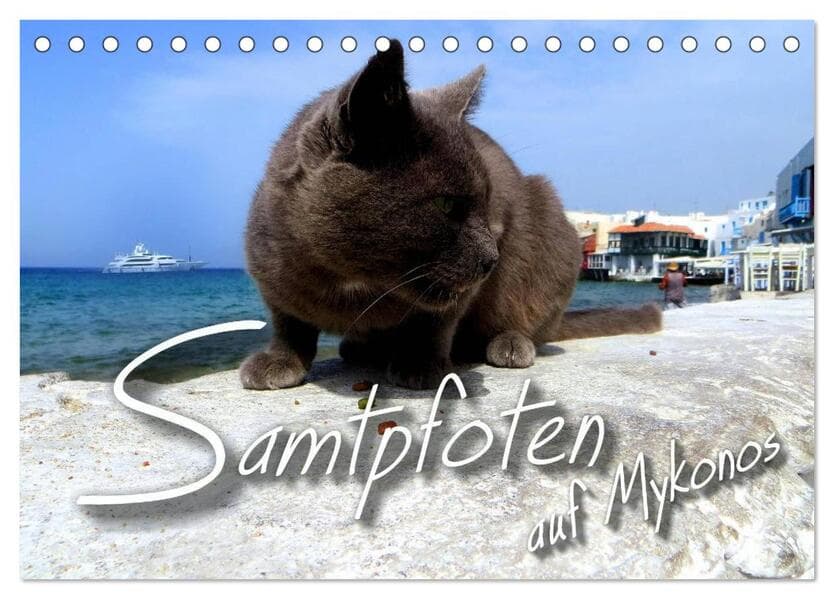 SAMTPFOTEN auf Mykonos (Tischkalender 2026 DIN A5 quer), CALVENDO Monatskalender