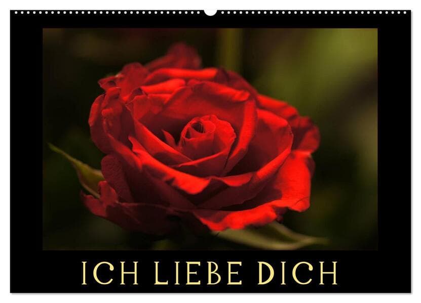Ich liebe Dich (Wandkalender 2026 DIN A2 quer), CALVENDO Monatskalender