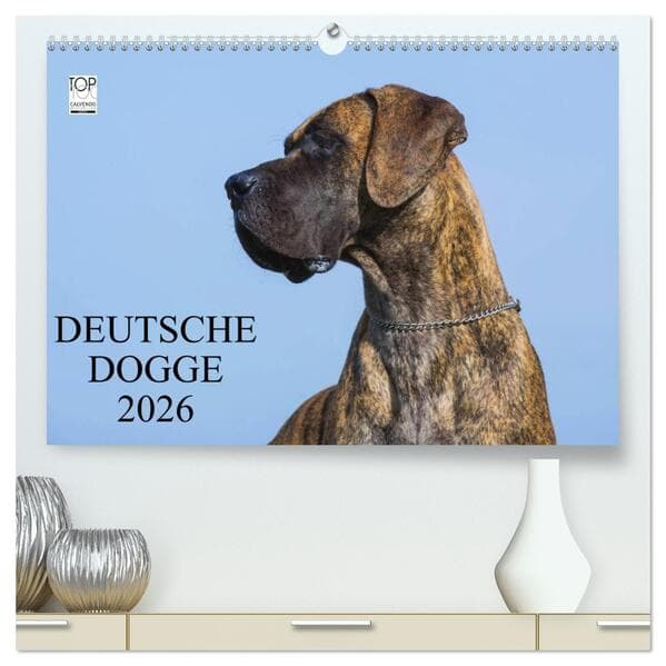 Deutsche Dogge 2026 (hochwertiger Premium Wandkalender 2026 DIN A2 quer), Kunstdruck in Hochglanz