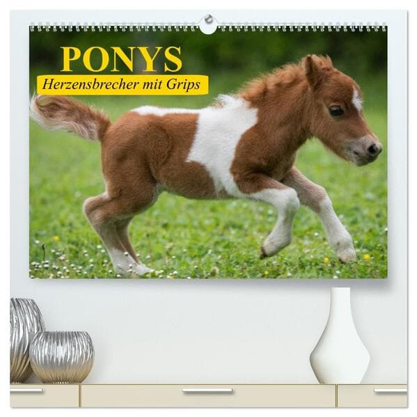 Ponys. Herzensbrecher mit Grips (hochwertiger Premium Wandkalender 2026 DIN A2 quer), Kunstdruck in