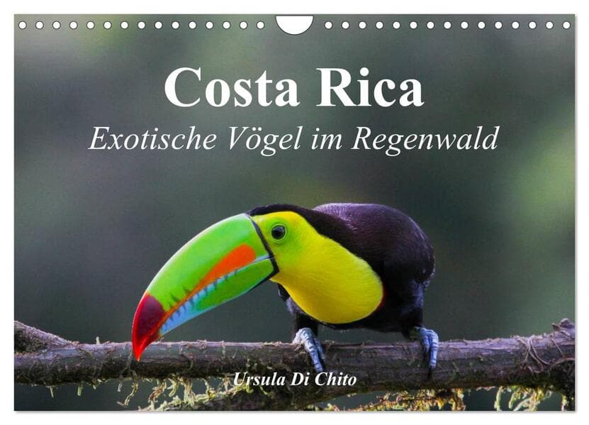 Costa Rica - Exotische Vögel im Regenwald (Wandkalender 2026 DIN A4 quer), CALVENDO Monatskalender