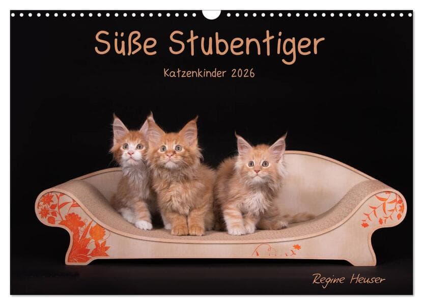 Süße Stubentiger - Katzenkinder (Wandkalender 2026 DIN A3 quer), CALVENDO Monatskalender