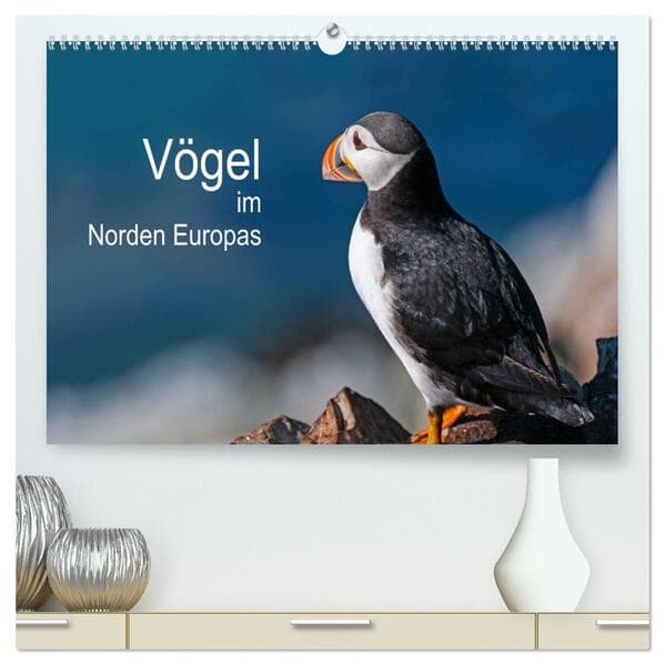 Vögel im Norden Europas (hochwertiger Premium Wandkalender 2026 DIN A2 quer), Kunstdruck in Hochglan