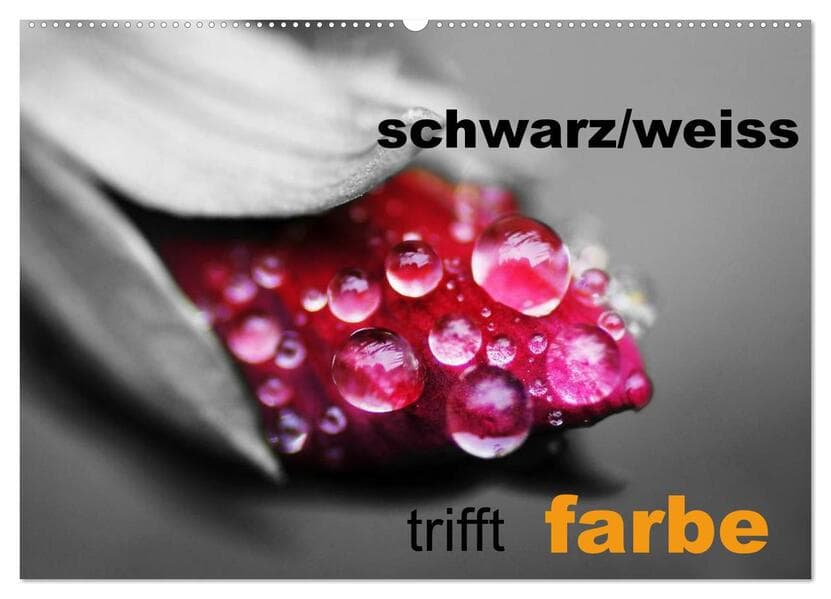 schwarz/weiß trifft farbe (Wandkalender 2026 DIN A2 quer), CALVENDO Monatskalender