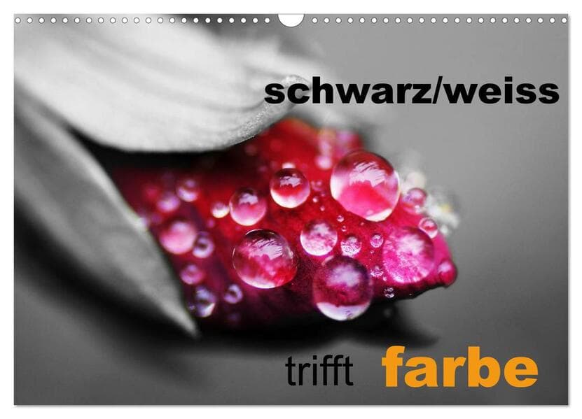 schwarz/weiß trifft farbe (Wandkalender 2026 DIN A3 quer), CALVENDO Monatskalender