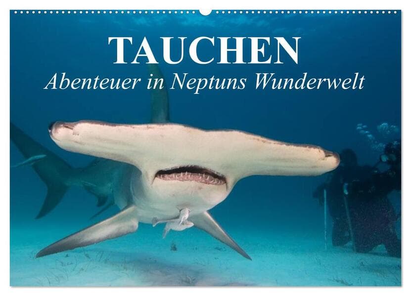Tauchen - Abenteuer in Neptuns Wunderwelt (Wandkalender 2026 DIN A2 quer), CALVENDO Monatskalender