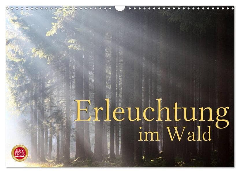 Erleuchtung im Wald (Wandkalender 2026 DIN A3 quer), CALVENDO Monatskalender