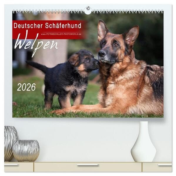 Deutscher Schäferhund - Welpen / CH-Version (hochwertiger Premium Wandkalender 2026 DIN A2 quer), Ku
