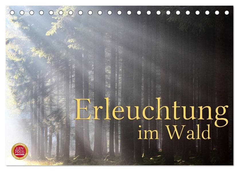 Erleuchtung im Wald (Tischkalender 2026 DIN A5 quer), CALVENDO Monatskalender