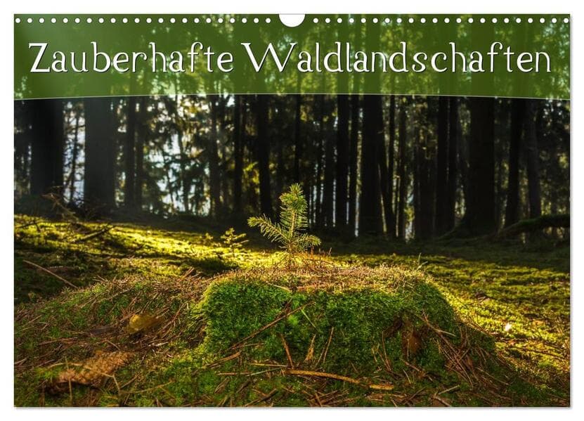 Zauberhafte Waldlandschaften (Wandkalender 2026 DIN A3 quer), CALVENDO Monatskalender