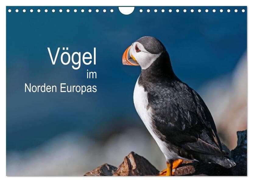 Vögel im Norden Europas (Wandkalender 2026 DIN A4 quer), CALVENDO Monatskalender