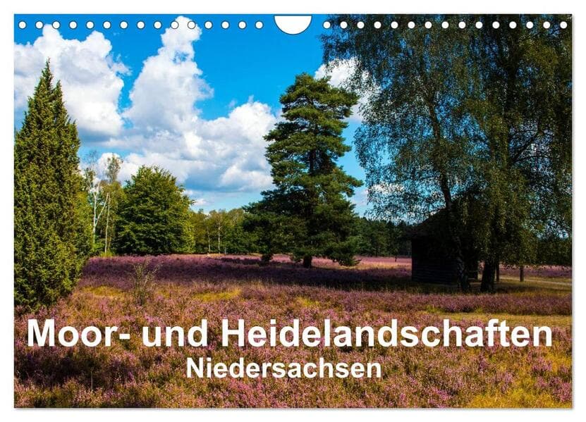 Moor- und Heidelandschaften Niedersachsen (Wandkalender 2026 DIN A4 quer), CALVENDO Monatskalender