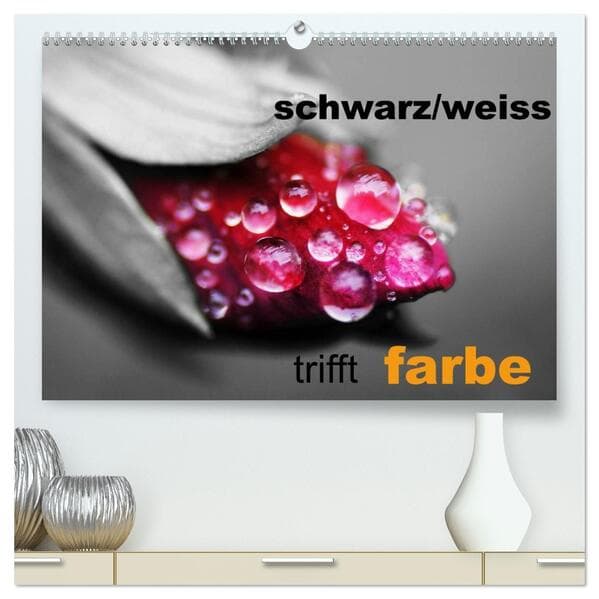 schwarz/weiß trifft farbe (hochwertiger Premium Wandkalender 2026 DIN A2 quer), Kunstdruck in Hochgl