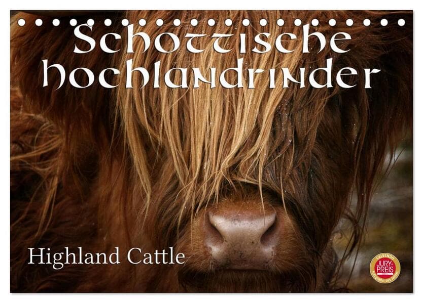 Schottische Hochlandrinder - Highland Cattle (Tischkalender 2026 DIN A5 quer), CALVENDO Monatskalend