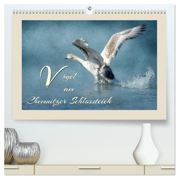 Vögel am Chemnitzer Schlossteich (hochwertiger Premium Wandkalender 2026 DIN A2 quer), Kunstdruck in