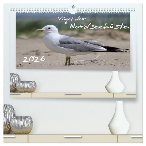 Vögel der Nordseeküste (hochwertiger Premium Wandkalender 2026 DIN A2 quer), Kunstdruck in Hochglanz