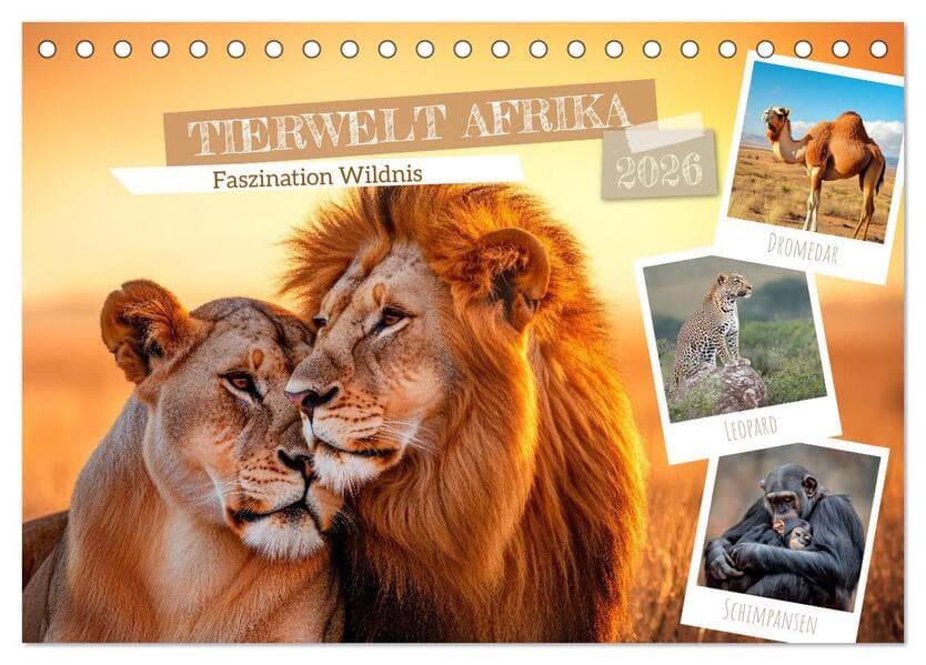 TIERWELT AFRIKA Faszination Wildnis (Tischkalender 2026 DIN A5 quer), CALVENDO Monatskalender
