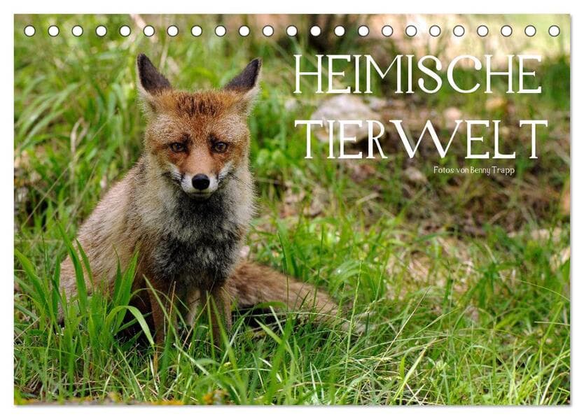 Heimische Tierwelt (Tischkalender 2026 DIN A5 quer), CALVENDO Monatskalender