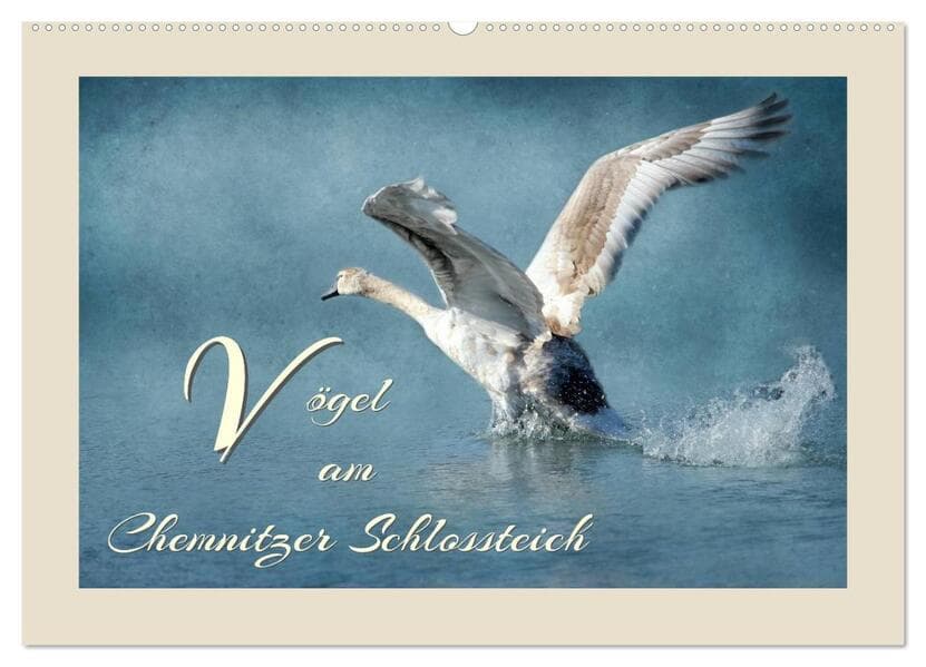 Vögel am Chemnitzer Schlossteich (Wandkalender 2026 DIN A2 quer), CALVENDO Monatskalender