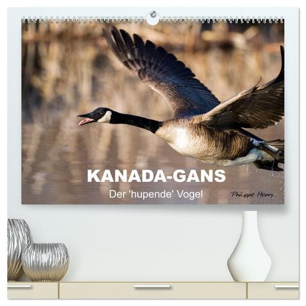 KANADA-GANS - Der 'hupende' Vogel (hochwertiger Premium Wandkalender 2026 DIN A2 quer), Kunstdruck i