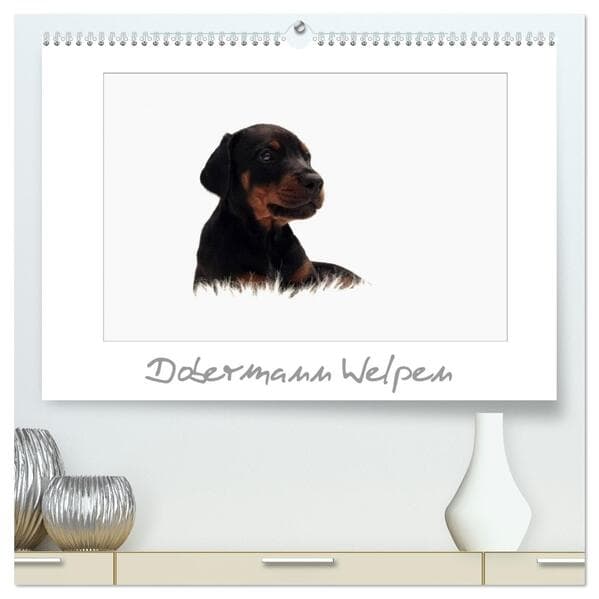 Dobermann Welpen (hochwertiger Premium Wandkalender 2026 DIN A2 quer), Kunstdruck in Hochglanz