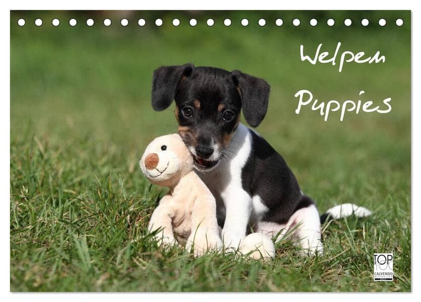 Welpen - Puppies (Tischkalender 2026 DIN A5 quer), CALVENDO Monatskalender