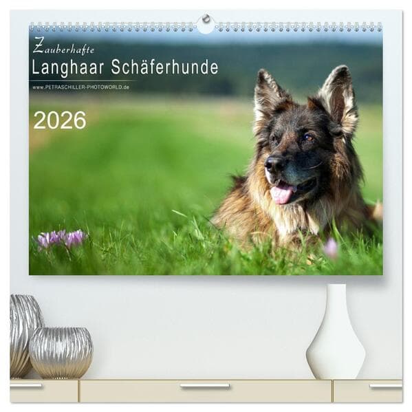 Zauberhafte Langhaar Schäferhunde (hochwertiger Premium Wandkalender 2026 DIN A2 quer), Kunstdruck i