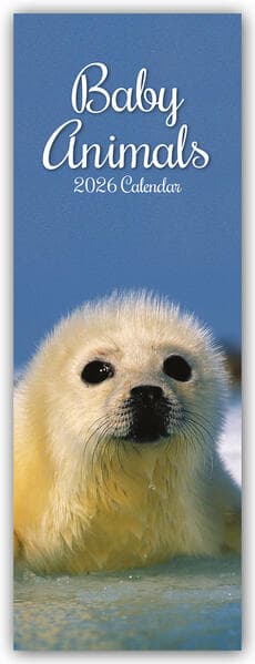 Baby Animals - Tierkinder - Slimline-Kalender 2026