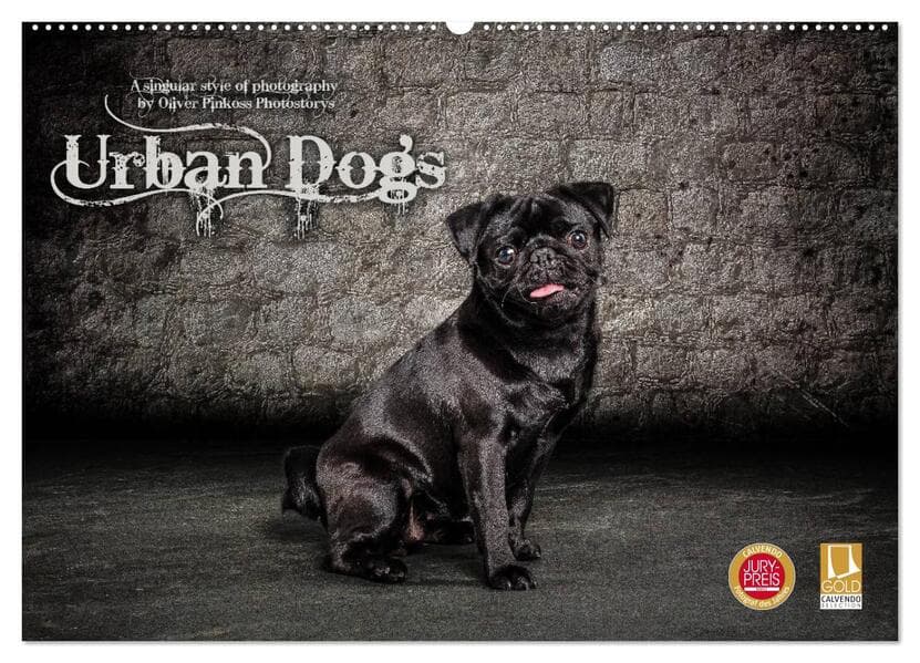 Urban Dogs - Hundekalender der anderen Art (Wandkalender 2026 DIN A2 quer), CALVENDO Monatskalender
