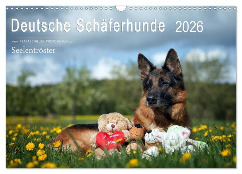 Deutsche Schäferhunde Seelentröster (Wandkalender 2026 DIN A3 quer), CALVENDO Monatskalender