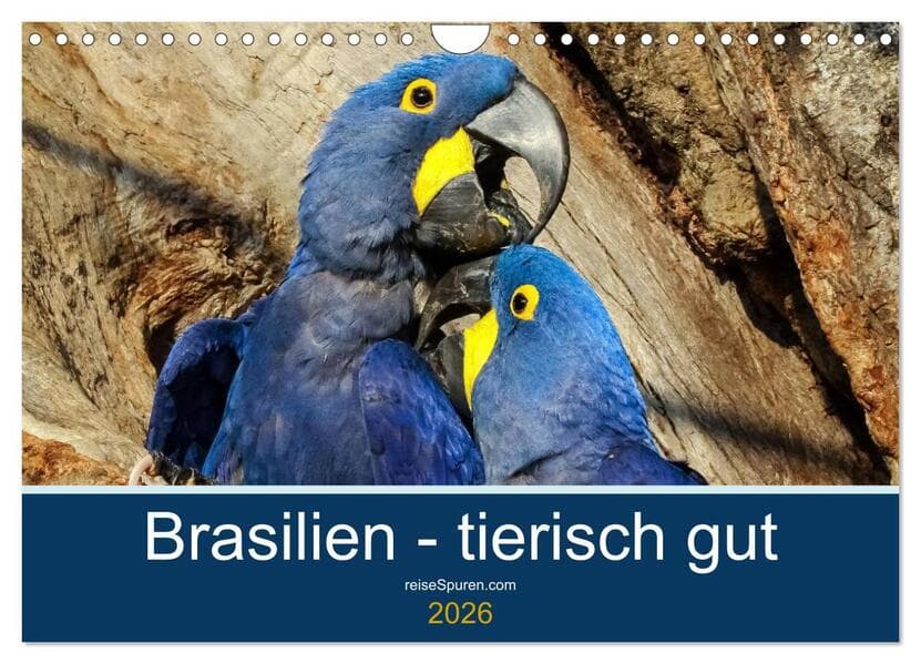 Brasilien tierisch gut 2026 (Wandkalender 2026 DIN A4 quer), CALVENDO Monatskalender