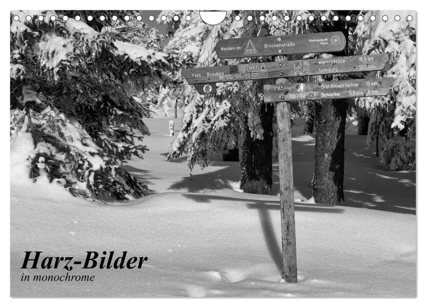 Harz-Bilder in monochrome (Wandkalender 2026 DIN A4 quer), CALVENDO Monatskalender