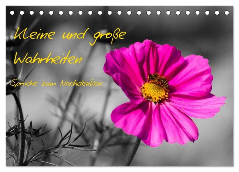 Kleine und große Wahrheiten - Sprüche zum Nachdenken (Tischkalender 2026 DIN A5 quer), CALVENDO Mona