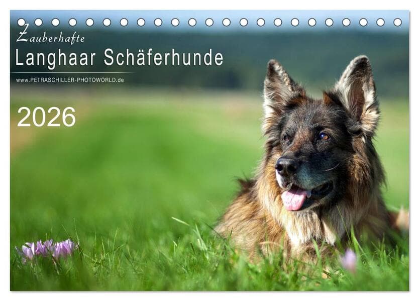 Zauberhafte Langhaar Schäferhunde (Tischkalender 2026 DIN A5 quer), CALVENDO Monatskalender