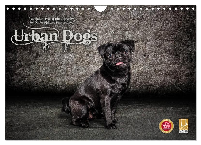 Urban Dogs - Hundekalender der anderen Art (Wandkalender 2026 DIN A4 quer), CALVENDO Monatskalender