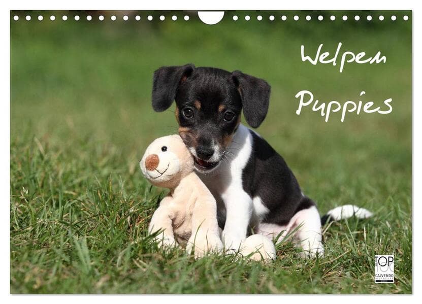 Welpen - Puppies (Wandkalender 2026 DIN A4 quer), CALVENDO Monatskalender