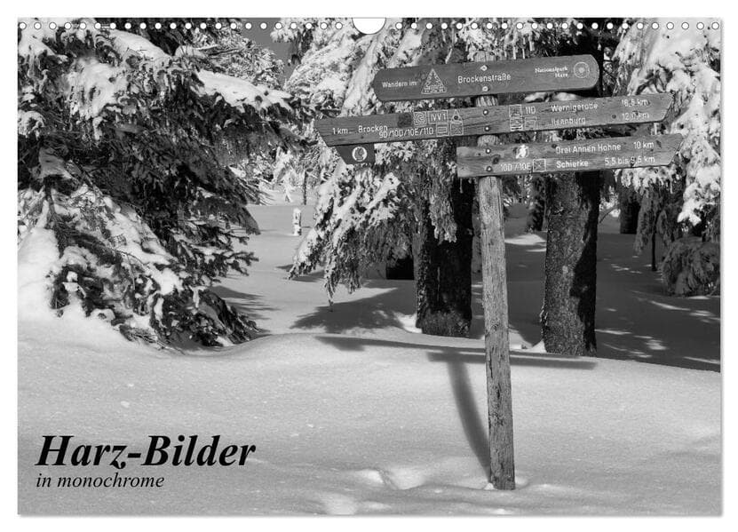 Harz-Bilder in monochrome (Wandkalender 2026 DIN A3 quer), CALVENDO Monatskalender