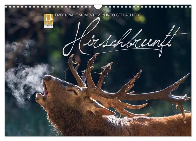 Emotionale Momente: Hirschbrunft (Wandkalender 2026 DIN A3 quer), CALVENDO Monatskalender