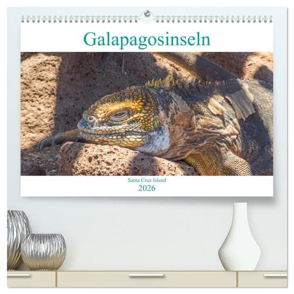 Die Galapagosinseln - Santa Cruz Island (hochwertiger Premium Wandkalender 2026 DIN A2 quer), Kunstd