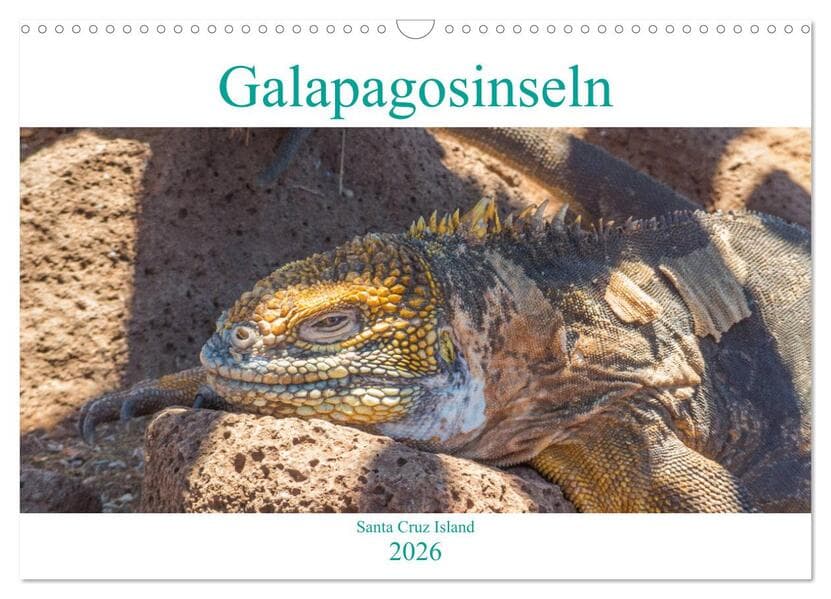 Die Galapagosinseln - Santa Cruz Island (Wandkalender 2026 DIN A3 quer), CALVENDO Monatskalender