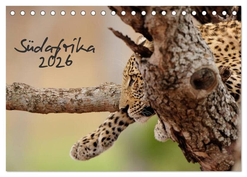 Südafrika (Tischkalender 2026 DIN A5 quer), CALVENDO Monatskalender