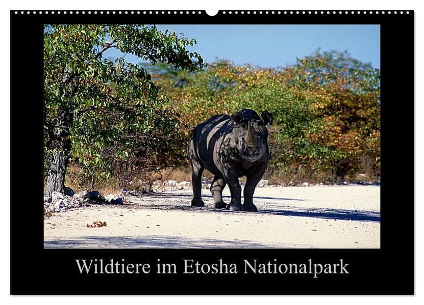 Wildtiere im Etosha Nationalpark (Wandkalender 2026 DIN A2 quer), CALVENDO Monatskalender