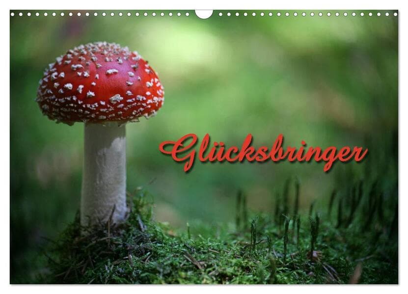 Glücksbringer (Wandkalender 2026 DIN A3 quer), CALVENDO Monatskalender