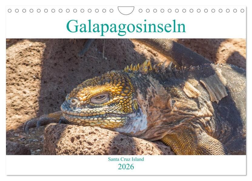 Die Galapagosinseln - Santa Cruz Island (Wandkalender 2026 DIN A4 quer), CALVENDO Monatskalender