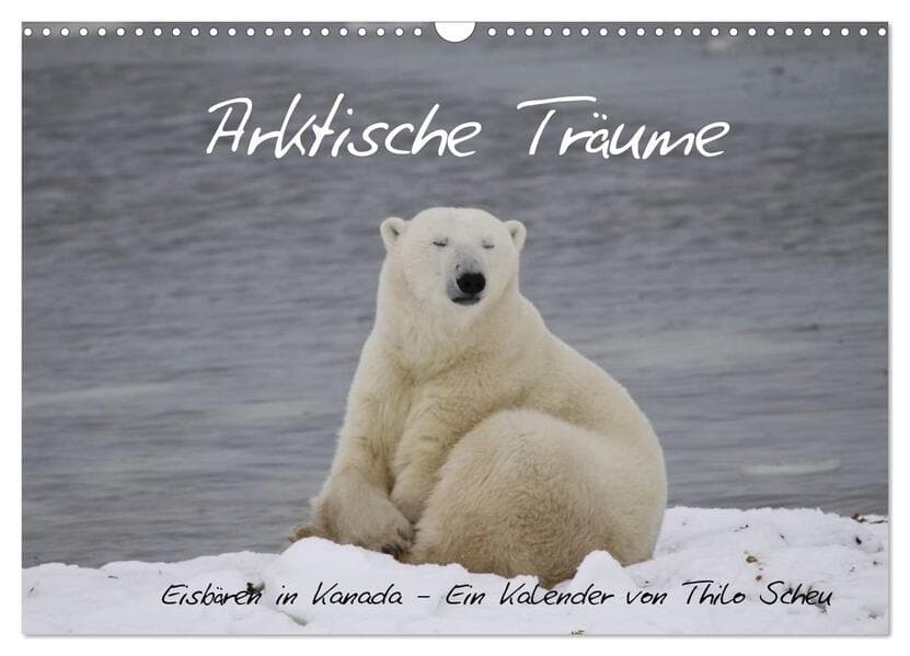 Arktische Träume - Eisbären in Kanada (Wandkalender 2026 DIN A3 quer), CALVENDO Monatskalender