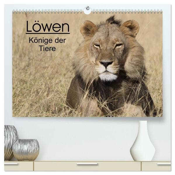 Löwen - Könige der Tiere (hochwertiger Premium Wandkalender 2026 DIN A2 quer), Kunstdruck in Hochgla
