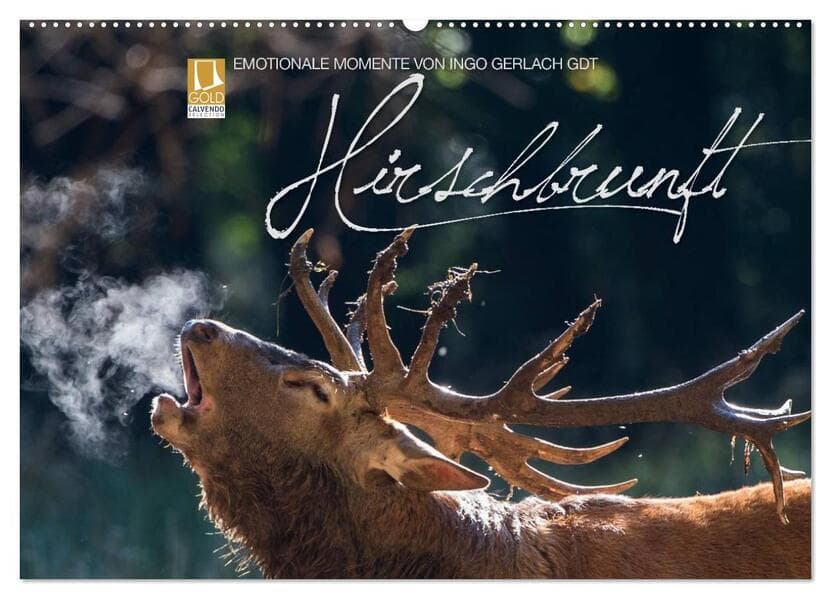 Emotionale Momente: Hirschbrunft (Wandkalender 2026 DIN A2 quer), CALVENDO Monatskalender