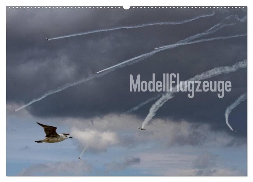 Modellflugzeuge Nr. 1 / 2026 (Wandkalender 2026 DIN A2 quer), CALVENDO Monatskalender