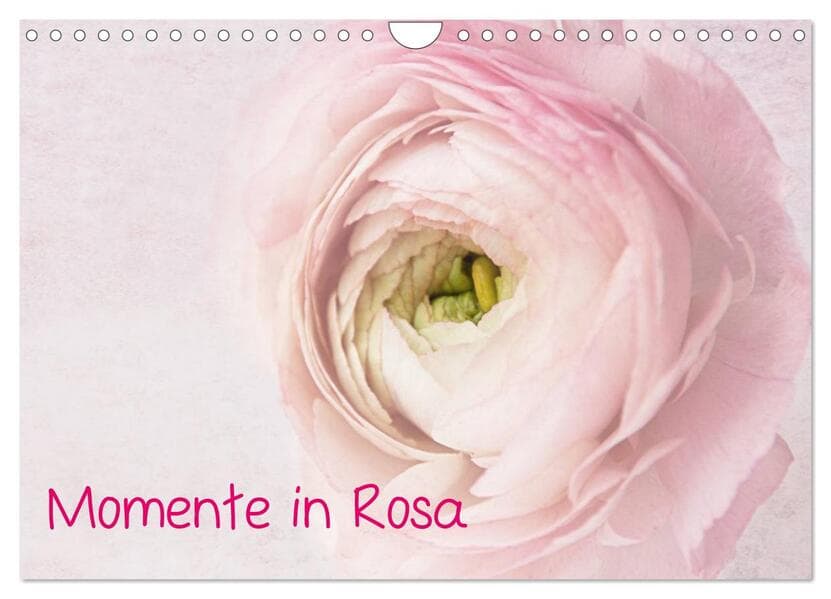 Momente in Rosa (Wandkalender 2026 DIN A4 quer), CALVENDO Monatskalender